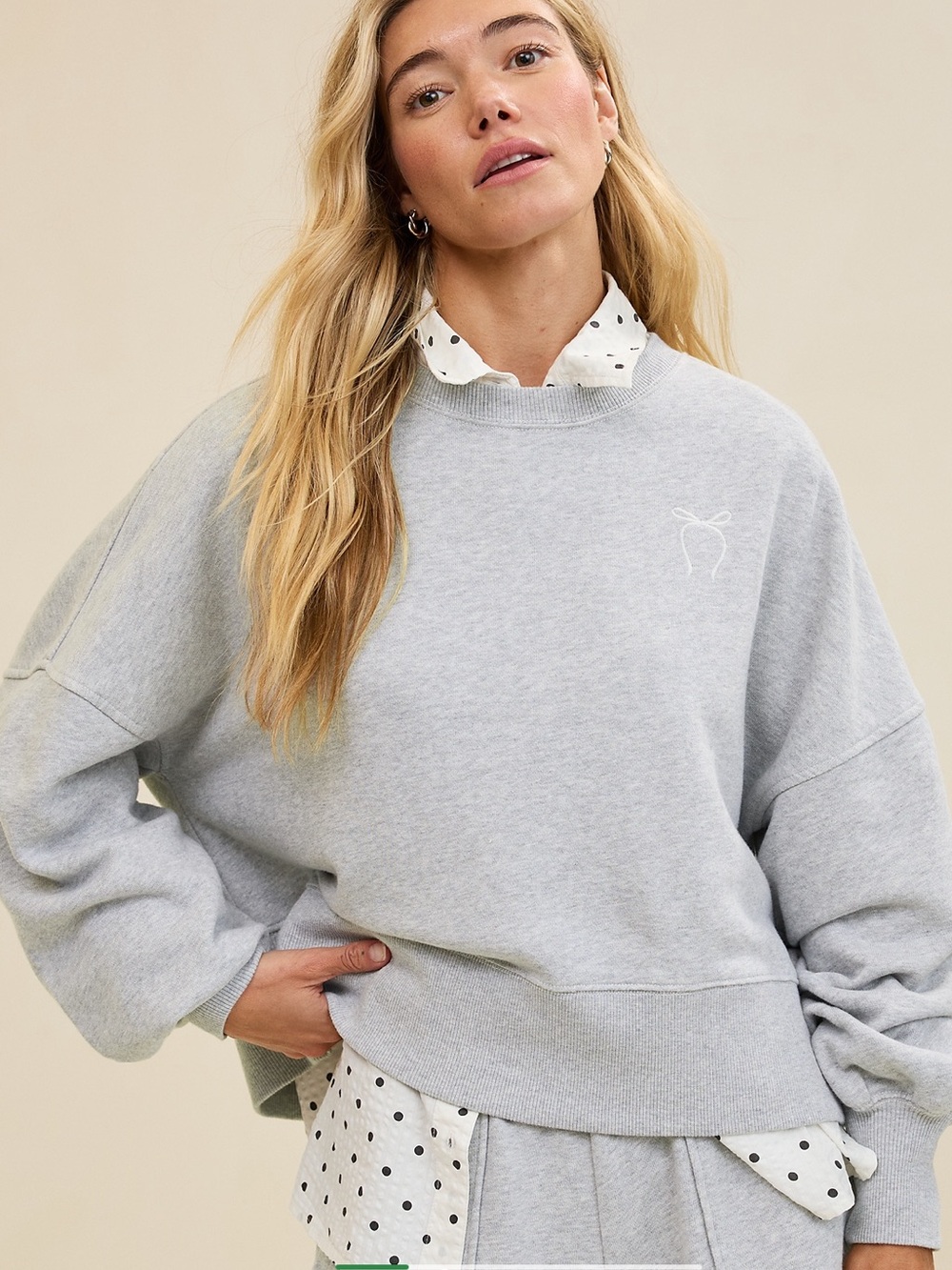 aerie Light Gray Relaxed Crew Sweatshirt